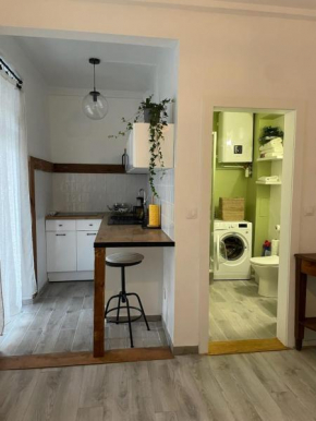 Studio cosy quartier observatoire